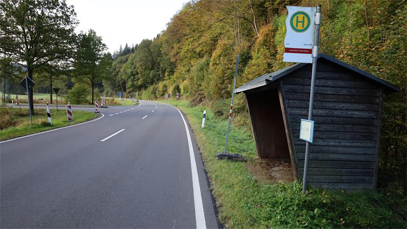 Landstraße mit Buswartehäuschen aus Holz am Straßenrand vor bewaldetem Hang