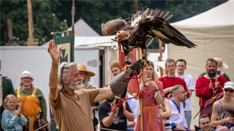 Die Falknerei Neandertal möchte den Besuchern die Faszination der Greifvögel näher bringen.