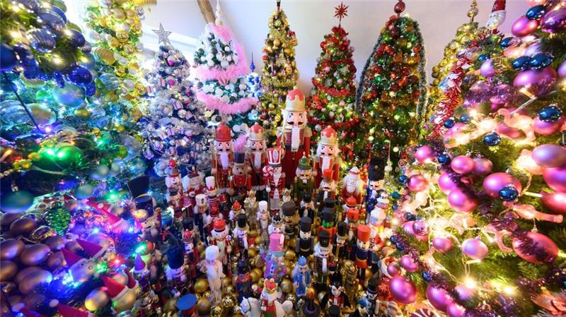 Die Familie Jeromin bricht den eigenen Rekord im Sammeln von Weihnachtsbäumen. 