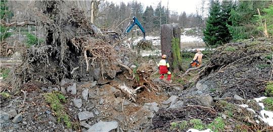 Die Februarstürme haben im Oberharz viele Bäume umgestürzt – so wie am Polstertaler Teich. Die Glück-Auf-Gruppe kritisiert den Zustand der Wanderwege. Foto: GZ-Archiv
