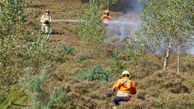 Im Oberharz legen die Brandschützer selbst ein Feuer Die Feuerwehr Clausthal-Zellerfeld hilft dabei sicherzustellen, dass sich keine Glutnester festfressen.