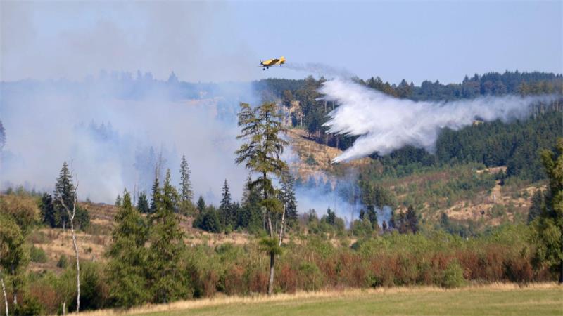 Waldbrand bei Benneckenstein unter Kontrolle Die Feuerwehr hat die weitere Ausbreitung des Waldbrands nach eigenen Angaben gestoppt.