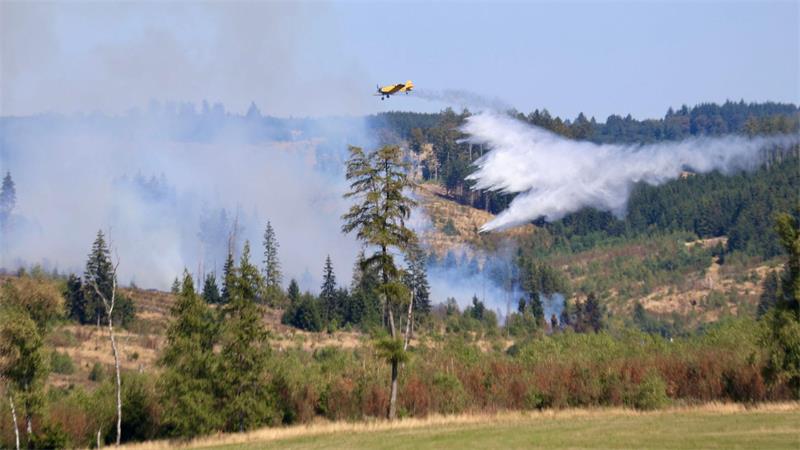 Waldbrand im Harz noch nicht gelöscht Die Feuerwehr hat die weitere Ausbreitung des Waldbrands nach eigenen Angaben gestoppt. (Archivbild)