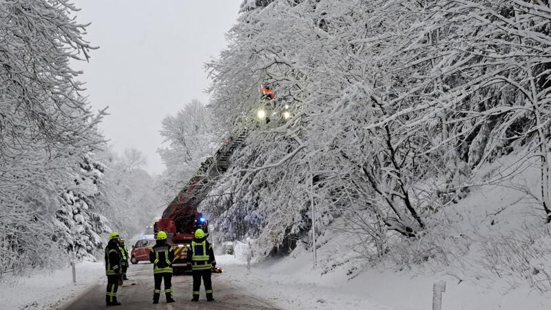 Die Feuerwehr ist am Donnerstagmorgen auf der K38 in Höhe des Bergfestplatzes in Clausthal-Zellerfeld im Einsatz und kümmert sich um mit ihrer Drehleiter herabfallende Äste. 