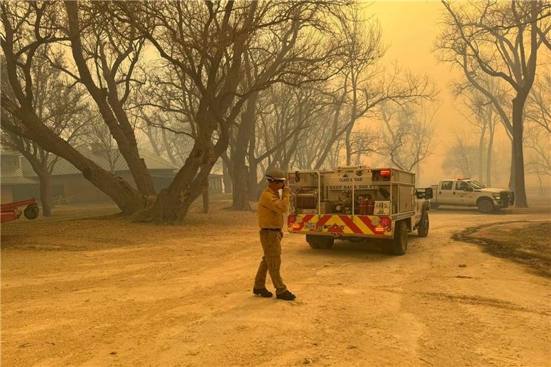 Mehrere Waldbrände wüten in Texas Die Feuerwehr kämpft im US-Bundesstaat Texas gegen mehrere sich schnell ausbreitende Waldbrände.