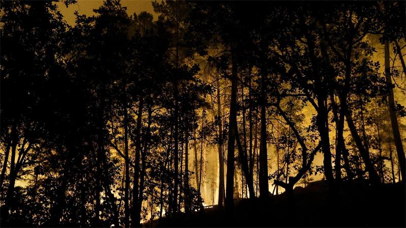 Die Feuerwehr kämpft mit rund 400 Kräften und Löschflugzeugen gegen den Brand im Wald von Fontainebleau. 