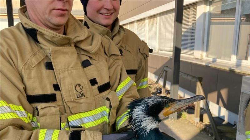 Die Feuerwehr rettet auch regelmäßig Tiere in Not.