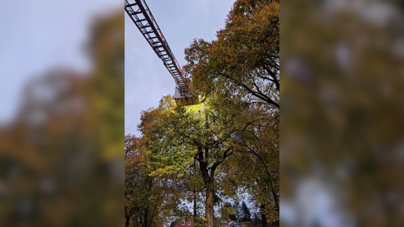 Die Feuerwehr rückt am Sonntagmorgen mit ihrer Drehleiter zum Alten Bahnhof in Clausthal-Zellerfeld aus. Der Sturm hat dort einen Baum in Mitleidenschaft gezogen.