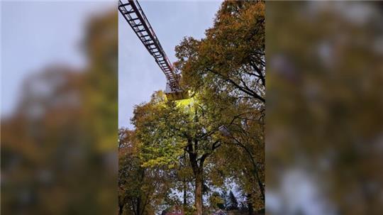 Die Feuerwehr rückt am Sonntagmorgen mit ihrer Drehleiter zum Alten Bahnhof in Clausthal-Zellerfeld aus. Der Sturm hat dort einen Baum in Mitleidenschaft gezogen.