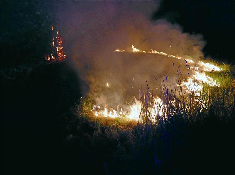 22 brennende Heuballen und ein Ring aus Feuer Die Feuerwehr rückt gegen 23.15 Uhr zu einem Flächenbrand im Wiesengrunde aus. Dort erwartet sie ein ungewöhnliches Bild: Das Feuer breitet sich kreisförmig aus.