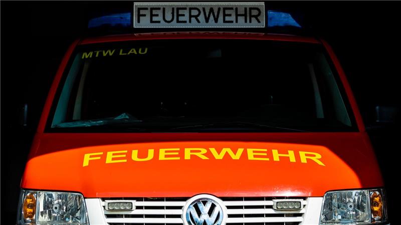 Kater Carlo in Dachrinne in Not Die Feuerwehr war mit einem Fahrzeug und drei Einsatzkräften zu dem Kater gefahren. (Symbolbild)