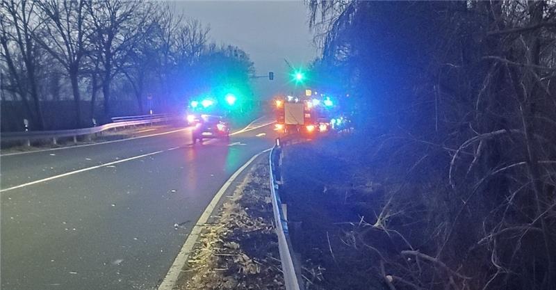 Die Feuerwehr zerteilte den Baum auf der B6. Foto: Feuerwehr Dörnten