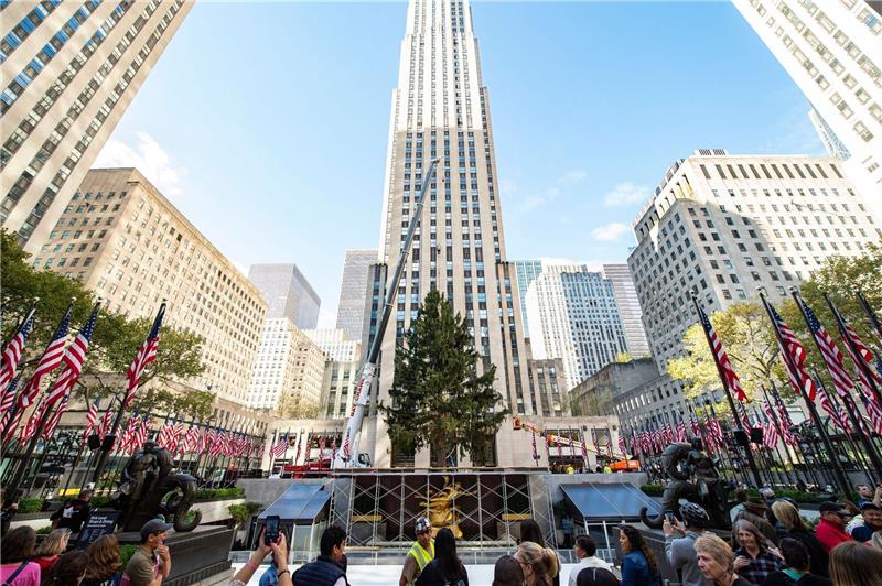 Weihnachtsbaum am Rockefeller Center in New York angekommen Die Fichte aus Queensbury wird mit einem Kran auf der Rockefeller Plaza aufgerichtet.