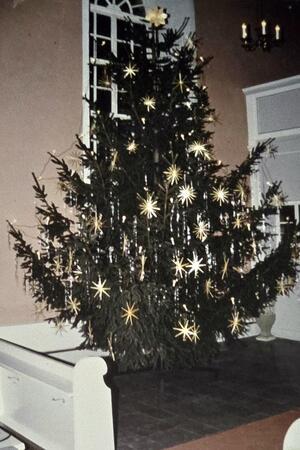 Die Fichte aus dem Hauseingang von Familie Luthardt strahlt als Weihnachtsbaum in der Döhrener Kirche.