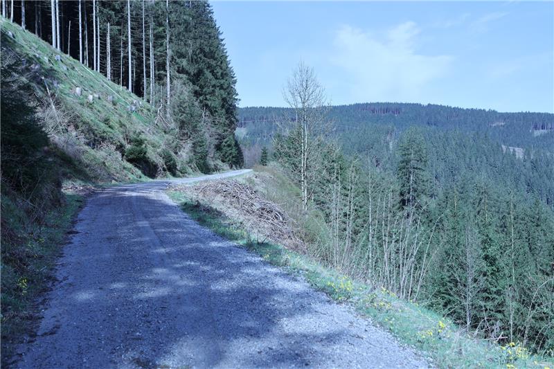 Die Flucht führte über einen Schotterweg mit steiler Böschung. Foto: Neuendorf