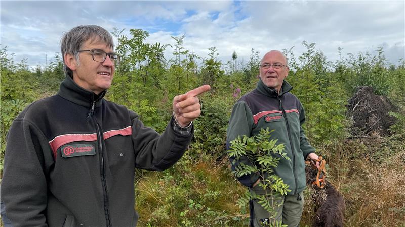 Braunlage: Warum ist der Bagger im Wald unterwegs? Die Förster Dr. Hendrik Rumpf (rechts) und Harald Laubner sprechen darüber, wie im Bereich zwischen Jugendherberge und Birkenweg wieder aufgeforstet wird.