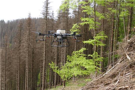 Die Forst testet den Einsatz von Drohnen, um Wälder aufzuforsten. Foto: Forst