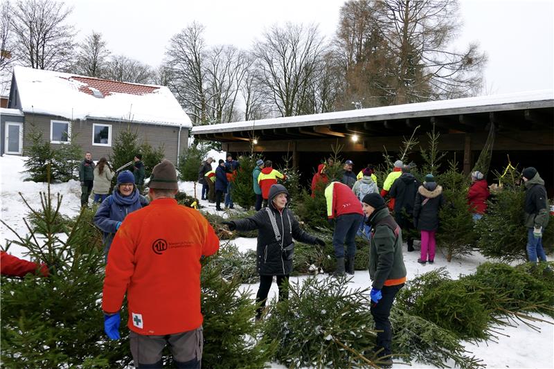 Menschen rennen dem Forstamt in Clausthal die Bude ein Die Forstamt-Aktion ist ein voller Erfolg: Baumkäufer stehen Schlange für ihre Harzer Fichte. Foto: Rudolph/Landesforsten