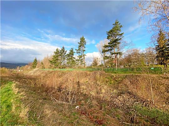 Die Freifläche direkt neben dem Bündheimer Friedhof (rechts im Bild) soll mit bis zu 30 Ferienhäusern bebaut werden. Durch die ehemalige Bahnlinie (im Vordergrund) könnte laut Landkreis der Boden verunreinigt sein. Archivfoto: Schlegel