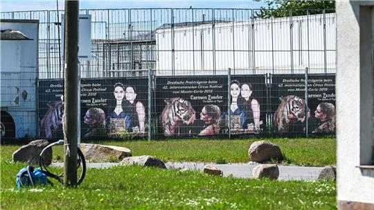 Die Gehege genügt laut Behörden nicht den Mindestanforderungen. 