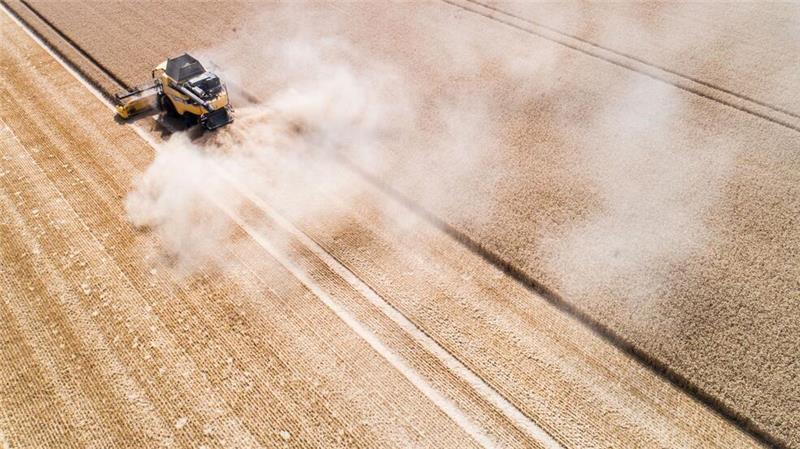 621 Millionen Euro für Niedersachsens Landwirtschaft Die Gemeinsame Agrarpolitik (GAP) soll die Landwirtschaft in Europa ökologischer und nachhaltiger machen – auch in Niedersachsen. (Archivbild)