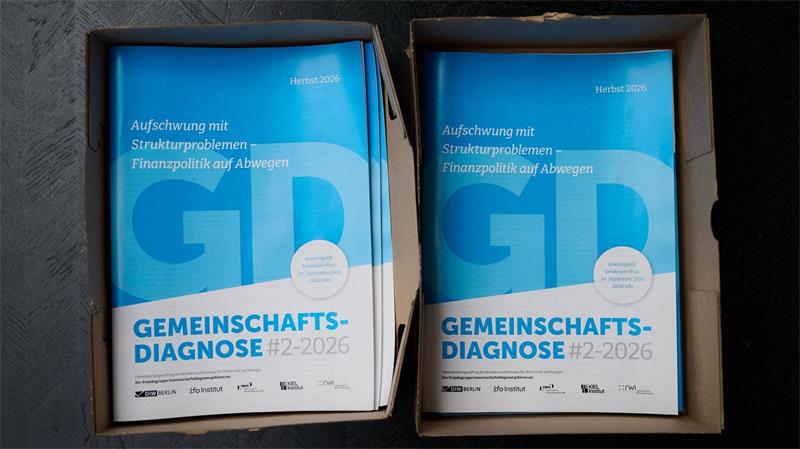 Die Gemeinschaftsdiagnose wird im Frühjahr und im Herbst von Wirtschaftsforschungsinstituten veröffentlicht.