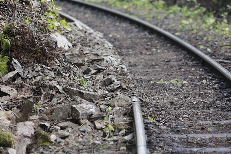 Erdrutsch behindert Bahnverkehr zum Brocken Die Geröllmassen haben einen Teil der Schienen unter sich begraben. Foto: picture alliance/dpa | Matthias Bein