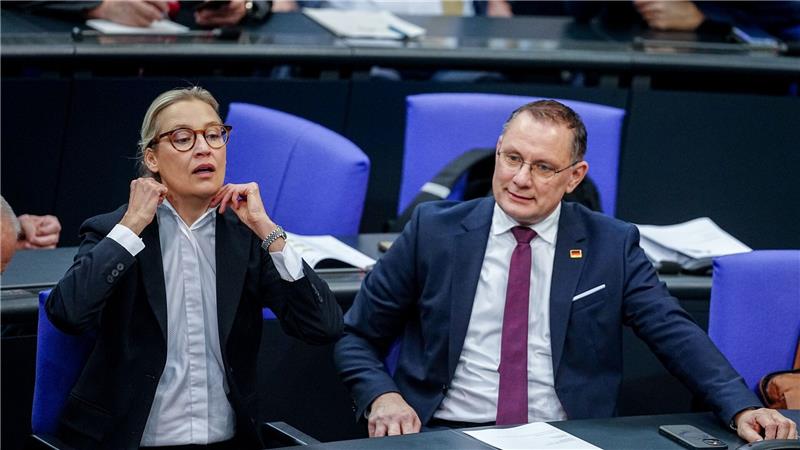 Die Gespräche von Alice Weidel, Co-Fraktionsvorsitzende und Co-Parteichefin der AfD, mit Unternehmern finden nach Angaben ihres Sprechers bislang meist im vertraulichen Rahmen statt. 