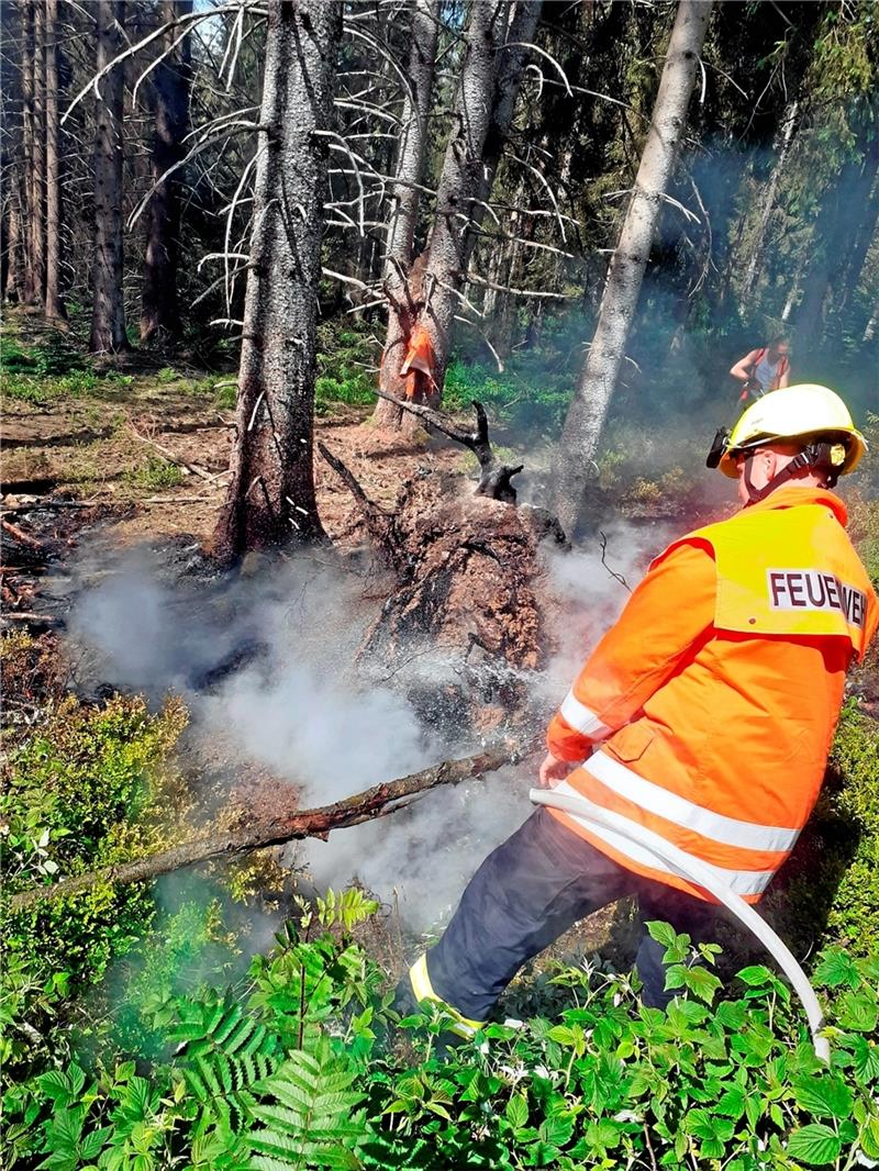 Altenau: Hobbypilot verhindert Brand-Katastrophe Die Glut eines Lagerfeuers entzündet nahe der Okertalsperre den Wald auf einer Fläche von circa 100 Quadratmetern – die Feuerwehr ist im Einsatz. Fotos: Feuerwehr