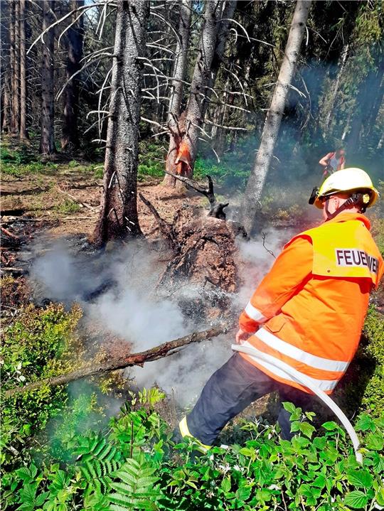 Die Glut eines Lagerfeuers entzündet nahe der Okertalsperre den Wald auf einer Fläche von circa 100 Quadratmetern – die Feuerwehr ist im Einsatz. Fotos: Feuerwehr