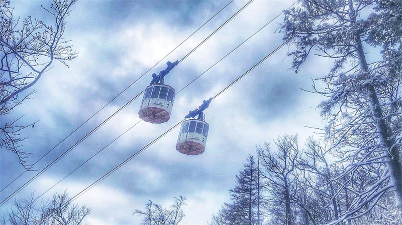 Das Foto zeigt zwei Gondeln einer Seilbahn.
