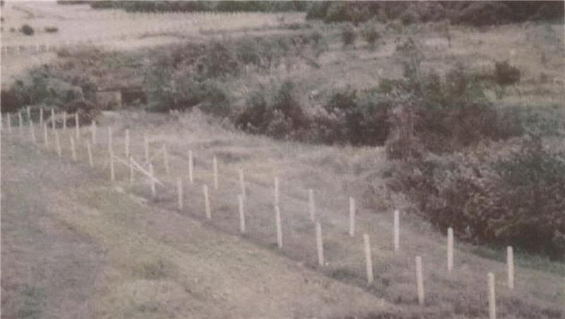DDR-Flucht im Harz: Unter Todesangst durch den Minenstreifen Die Grenzbefestigung in den 1960er Jahren bei Abbenrode: Ein Doppelzaun umschließt einen Minenstreifen.