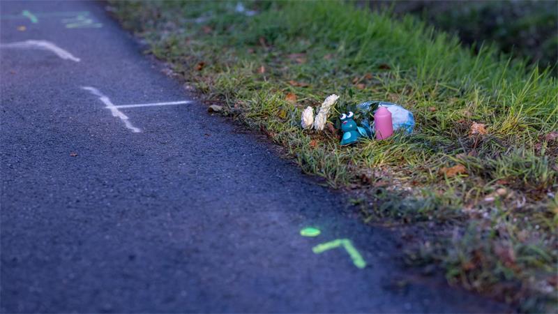 Die Großmutter und ihr Enkelkind starben noch an der Unfallstelle. (Symbolbild)