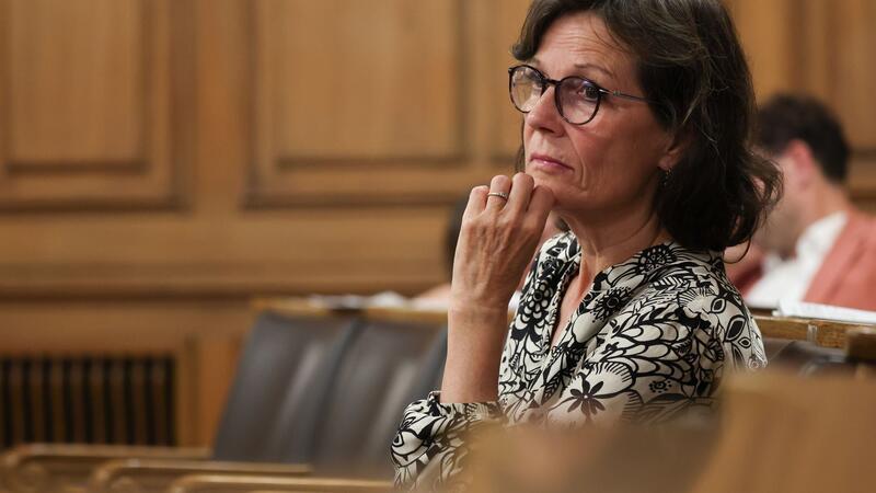 Die Grünen-Abgeordnete Gudrun Schittek stimmte gegen den Deal.