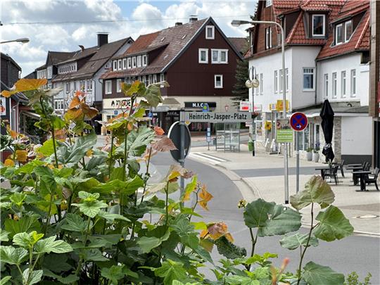 Die Grundstückseigentümer in der Innenstadt gehören laut Verwaltung zu denen, die von der Stadtsanierung profitieren. Sie müssen sich deshalb an den Kosten beteiligen. Noch ist unklar, in welcher Höhe. Foto: Eggers