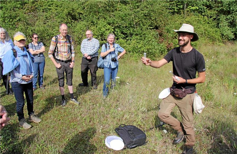 Insekten-Pirsch in der Wölky-Kiesgrube in Isingerode Die Gruppe findet zahlreiche Insekten. Foto: Hohaus