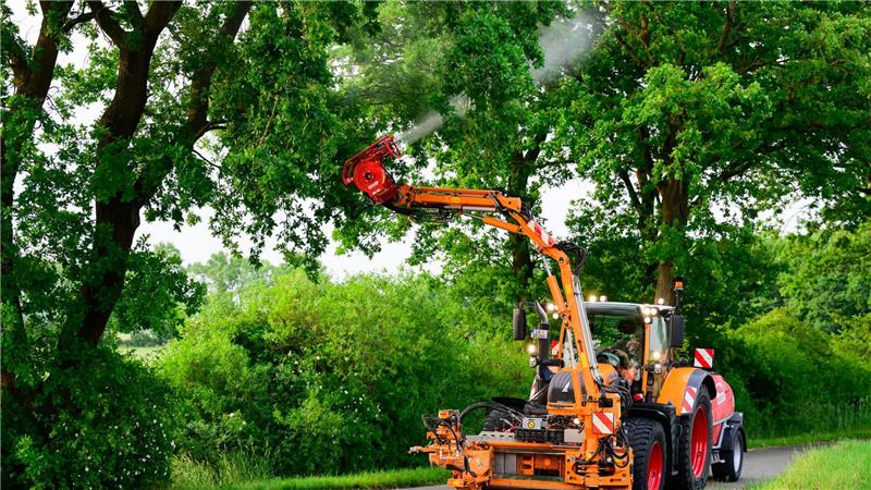 Gefährlicher Eichenprozessionsspinner wird wieder bekämpft Die Haare des Eichenprozessionsspinners können zu Hautausschlägen führen. Mit winzigen Fadenwürmern wird der Schädling vielerorts bekämpft.