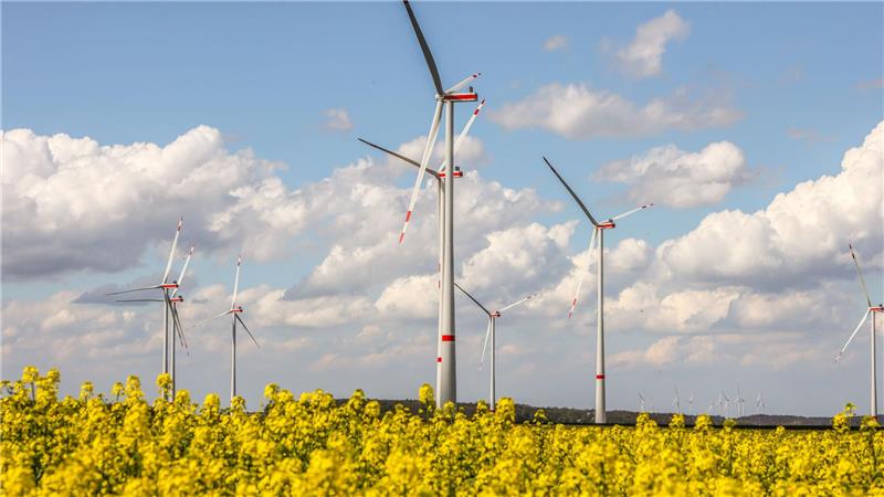 Clausthal-Zellerfeld: Rüstung statt Windräder? Alles nur Satire Die Halali möchte 250 Meter hohe Windräder, wie hier in Beuchte, auf dem Gelände von Werk Tanne errichten.