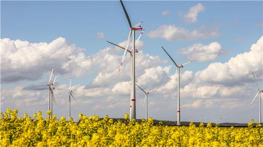 Die Halali möchte 250 Meter hohe Windräder, wie hier in Beuchte, auf dem Gelände von Werk Tanne errichten.