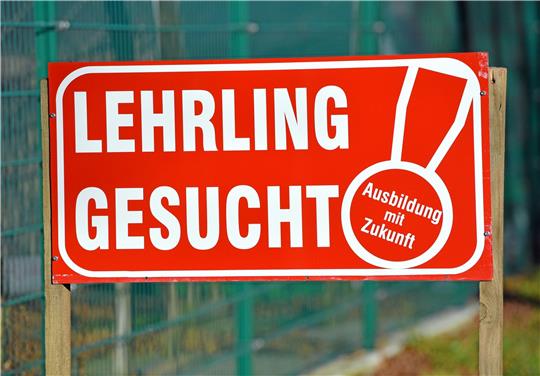 Die Handwerksbetriebe suchen in allen Branchen händeringend nach Auszubildenden. Foto: Patrick Pleul/dpa
