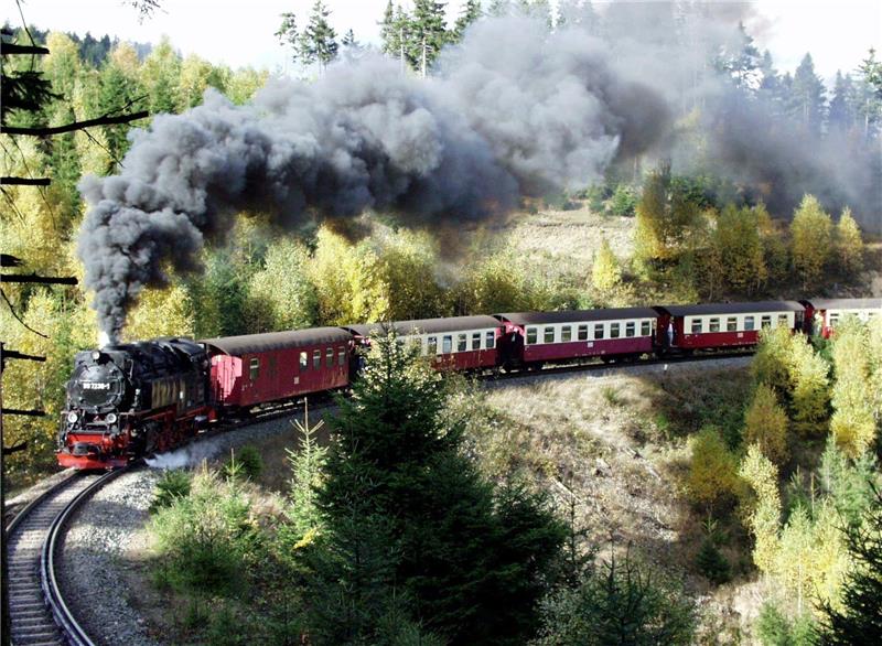 Die Harzer Brockenbahn fährt durch den Fichtenwald in Richtung Brocken (Sachsen-Anhalt) Foto: Jürgen Korsch / dpa