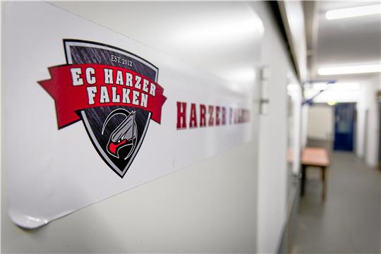 Die Harzer Falken haben für die anstehende Saison eine 1b-Mannschaft gemeldet, die in der Eishockey-Landesliga an den Start gehen wird. Foto: GZ-Archiv