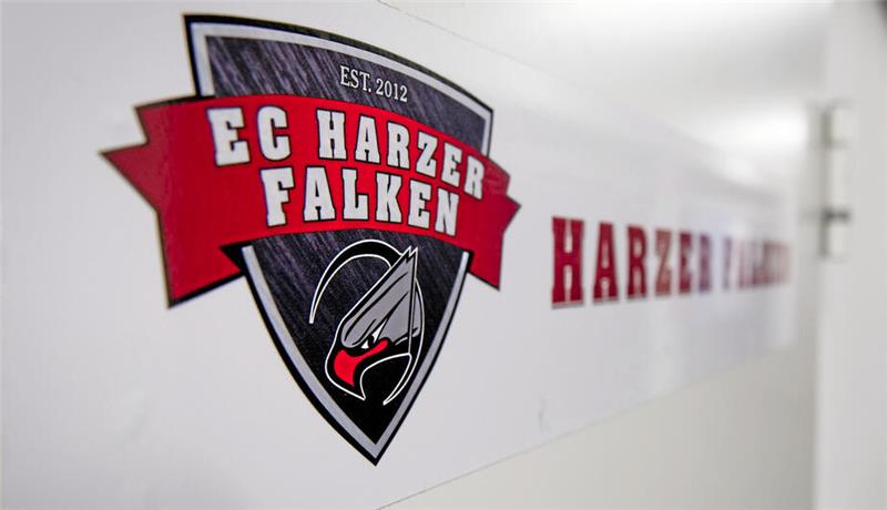 Harzer Falken holen Ex-Spieler als sportlichen Berater zurück Die Harzer Falken verbreitern ihr Führungsgremium. Foto: GZ-Archiv