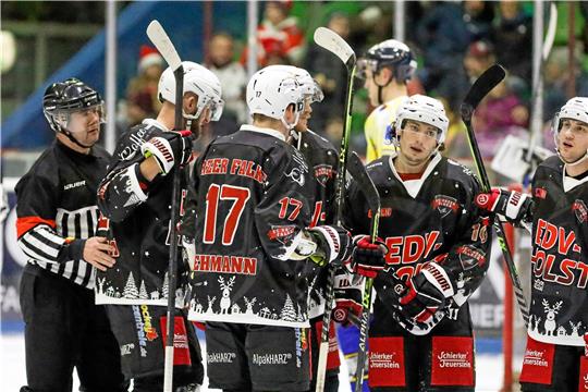 Die Harzer Falken werden Ende Oktober in die Saison der Eishockey-Regionalliga Nord einsteigen. Foto: GZ-Archiv