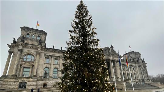Die Harzer Fichte steht nun vor dem Bundestag in Berlin. Der 26 Meter hohe Baum ist mit Lichterketten geschmückt.