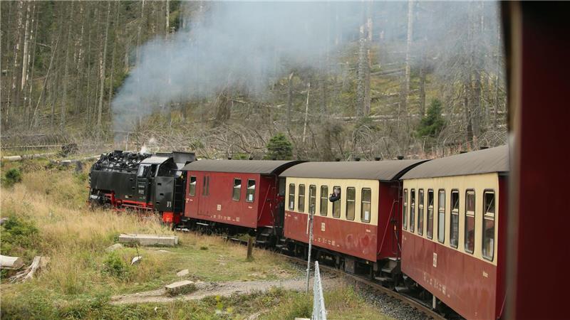 Die Harzer Schmalspurbahn prüft, ob sie am Vormittag zum Brocken fährt. (Archivbild)