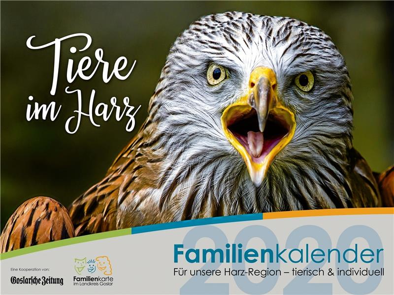 Die Harzer  Tierwelt hat der praktische Familienkalender 2020 der Goslarschen Zeitung und der Familienkarte im Landkreis Goslar in diesem Jahr im Blick. Großartige Fotos warten Monat für Monat. Foto: Mira Knüpfer