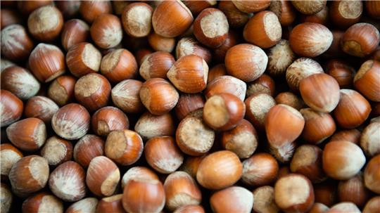 Weniger Haselnüsse aus Italien: Wird Nutella teurer? Die Haselsnussernte ist in Italien so schlecht ausgefallen wie seit Jahrzehnten nicht mehr. (Archivbild)