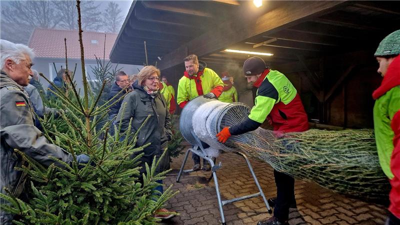 Forstamt gibt Tipps: So findet jeder den passenden Weihnachtsbaum Die Helfer der Landesforsten schieben einen Baum nach dem nächsten durch die Netzmaschine.