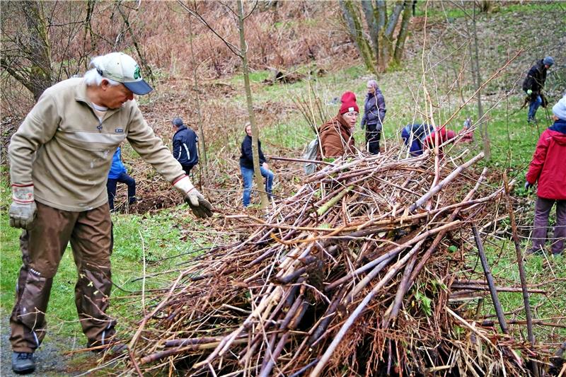 Die Helfer des Bergstadtvereins sammeln die vertrockneten Stauden, damit sie von den Mitarbeitern der städtischen Betriebe Braunlage entsorgt werden können. Foto: Jung